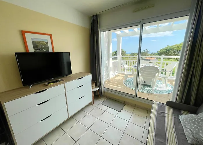 Vue Avec Piscine Chauffee Et Parking Gratuit - Fr-1-92-916 *