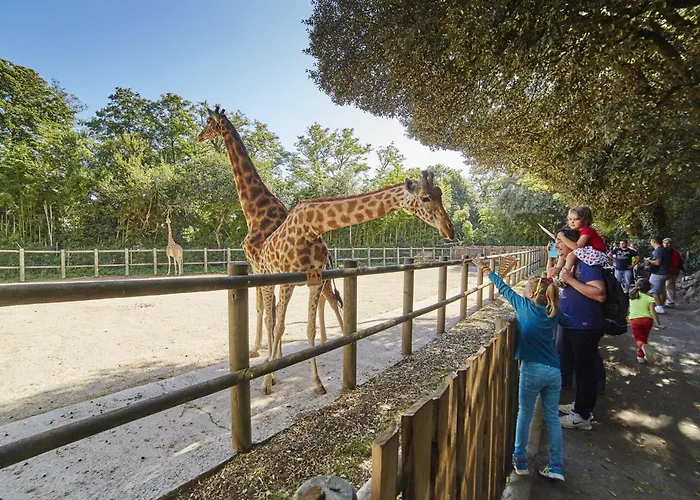 Vue Avec Piscine Chauffee Et Parking Gratuit - Fr-1-92-916 Les Sables-d'Olonne